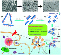 Graphical abstract: Nano-sized paramagnetic and fluorescent fluorinated carbon fiber with high NIR absorbance for cancer chemo-photothermal therapy