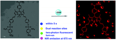 Graphical abstract: Synthesis of a BODIPY disulfonate near-infrared fluorescence-enhanced probe with high selectivity to endogenous glutathione and two-photon fluorescent turn-on through thiol-induced SNAr substitution