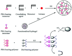Graphical abstract: Synthesis of hydrogel-bearing phenylboronic acid moieties and their applications in glucose sensing and insulin delivery