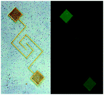 Graphical abstract: Femtosecond-laser direct writing for spatially localized synthesis of PPV