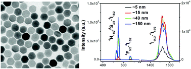 Graphical abstract: Size-dependent downconversion near-infrared emission of NaYF4:Yb3+,Er3+ nanoparticles