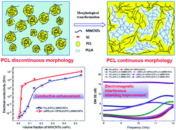 Graphical abstract: Morphological regulation improved electrical conductivity and electromagnetic interference shielding in poly(l-lactide)/poly(ε-caprolactone)/carbon nanotube nanocomposites via constructing stereocomplex crystallites