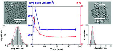 Graphical abstract: Solution-phase growth mechanism of phosphorus-doped MnAs nanoparticles: size, polydispersity and dopant control on the nanoscale