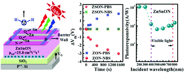 Graphical abstract: Combined control of the cation and anion to make ZnSnON thin films for visible-light phototransistors with high responsivity