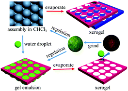 Graphical abstract: Effect of water on the supramolecular assembly and functionality of a naphthalimide derivative: tunable honeycomb structure with mechanochromic properties