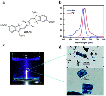 Graphical abstract: Near-infrared emitting single squaraine dye aggregates with large Stokes shifts