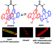 Graphical abstract: Regulation of intra- and intermolecular Pt–Pt and π–π interactions of a U-shaped diplatinum complex to achieve pseudo-polymorphic emissions in solution and crystalline states