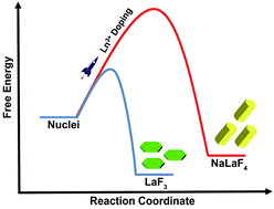Graphical abstract: Selective synthesis of LaF3 and NaLaF4 nanocrystals via lanthanide ion doping