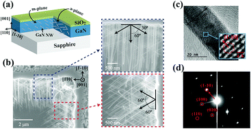 Graphical abstract: Facile growth of density- and diameter-controlled GaN nanobridges and their photodetector application