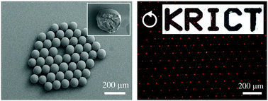 Graphical abstract: Robust photonic microparticles comprising cholesteric liquid crystals for anti-forgery materials