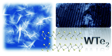 Graphical abstract: Solution synthesis of few-layer WTe2 and MoxW1−xTe2 nanostructures