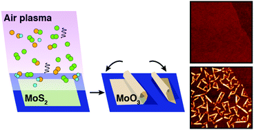 Graphical abstract: Formation of MoO3 and WO3 nanoscrolls from MoS2 and WS2 with atmospheric air plasma