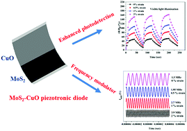 Graphical abstract: Fabrication of a solution-processed, highly flexible few layer MoS2 (n)–CuO (p) piezotronic diode on a paper substrate for an active analog frequency modulator and enhanced broadband photodetector