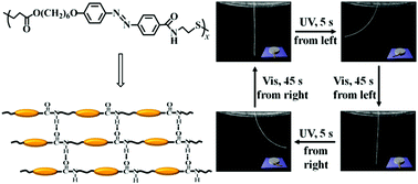 Graphical abstract: Supramolecular hydrogen-bonded photodriven actuators based on an azobenzene-containing main-chain liquid crystalline poly(ester-amide)