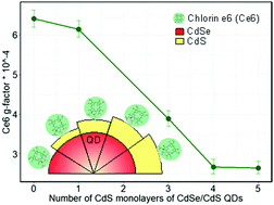 Graphical abstract: Influence of CdSe and CdSe/CdS nanocrystals on the optical activity of chiral organic molecules
