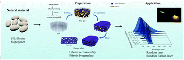 Graphical abstract: Silk fibroin as a biotemplate for hierarchical porous silica monoliths for random laser applications