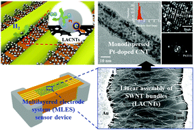 Graphical abstract: A noble gas sensor platform: linear dense assemblies of single-walled carbon nanotubes (LACNTs) in a multi-layered ceramic/metal electrode system (MLES)