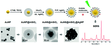 Graphical abstract: Multi-branch Au/Ag bimetallic core–shell–satellite nanoparticles as a versatile SERS substrate: the effect of Au branches in a mesoporous silica interlayer