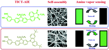Graphical abstract: AIE-active molecule-based self-assembled nano-fibrous films for sensitive detection of volatile organic amines