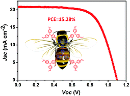 Graphical abstract: Dopant-free and low-cost molecular “bee” hole-transporting materials for efficient and stable perovskite solar cells