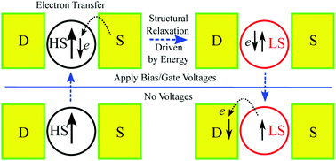 Graphical abstract: Realizing bias-induced spin transition with high-spin MnII complexes at room temperature