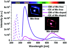 Graphical abstract: Bane to boon: intrinsic defect sensitized photoluminescence from Mn2+ or rare-earth ion doped fluorosilicate photonic glasses