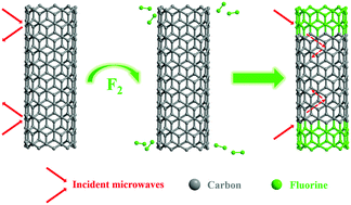 Graphical abstract: Towards efficient microwave absorption: intrinsic heterostructure of fluorinated SWCNTs