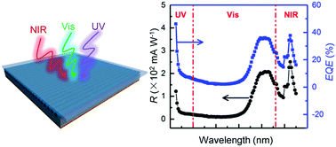 Graphical abstract: High-performance self-powered UV-Vis-NIR photodetectors based on horizontally aligned GaN microwire array/Si heterojunctions