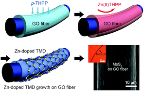 Graphical abstract: Fabrication of high-performance flexible photodetectors based on Zn-doped MoS2/graphene hybrid fibers