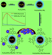 Graphical abstract: Sensitive fluorescence detection of Ni2+ ions using fluorescein functionalized Fe3O4 nanoparticles