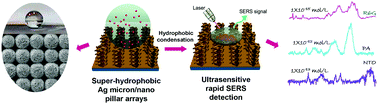 Graphical abstract: Ultrasensitive detection of explosives via hydrophobic condensation effect on biomimetic SERS platforms