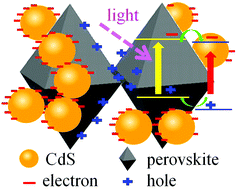 Graphical abstract: Electrochemical and atomic force microscopy investigations of the effect of CdS on the local electrical properties of CH3NH3PbI3:CdS perovskite solar cells