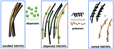 Graphical abstract: High-efficiency dispersion and sorting of single-walled carbon nanotubes via non-covalent interactions