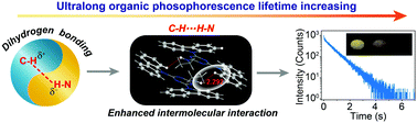 Graphical abstract: Prolonging the lifetime of ultralong organic phosphorescence through dihydrogen bonding