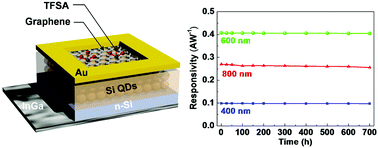 Graphical abstract: Enhancement of efficiency and long-term stability in graphene/Si-quantum-dot heterojunction photodetectors by employing bis(trifluoromethanesulfonyl)-amide as a dopant for graphene