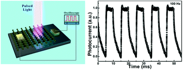 Graphical abstract: High-performance self-powered deep ultraviolet photodetector based on MoS2/GaN p–n heterojunction