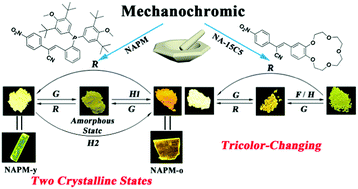 Graphical abstract: AIE-active smart cyanostyrene luminogens: polymorphism-dependent multicolor mechanochromism