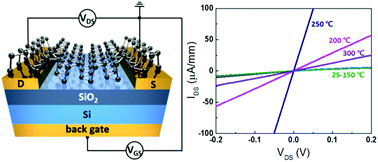 Graphical abstract: Reducing the contact and channel resistances of black phosphorus via low-temperature vacuum annealing