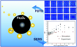 Graphical abstract: Simulation and synthesis of Fe3O4–Au satellite nanostructures for optimised surface-enhanced Raman scattering