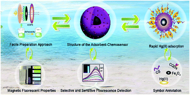 Graphical abstract: Facile synthesis of magnetic fluorescent nanoparticles: adsorption and selective detection of Hg(ii) in water