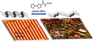 Graphical abstract: Face-on vs. edge-on: tuning the structure of tetrathiafulvalene monolayers with solvent