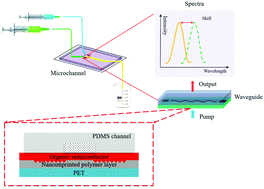 Graphical abstract: Microfluidic channels incorporating organic distributed Bragg reflector lasers for in situ sensing applications