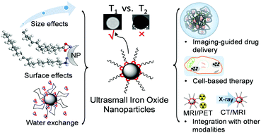 Graphical abstract: Magnetic iron oxide nanoparticles as T1 contrast agents for magnetic resonance imaging