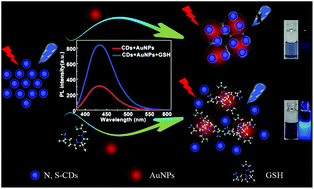 Graphical abstract: A photoluminescence “switch-on” nanosensor composed of nitrogen and sulphur co-doped carbon dots and gold nanoparticles for discriminative detection of glutathione