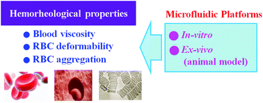 Graphical abstract: In vitro and ex vivo measurement of the biophysical properties of blood using microfluidic platforms and animal models