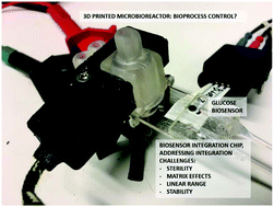 Graphical abstract: Towards microbioprocess control: an inexpensive 3D printed microbioreactor with integrated online real-time glucose monitoring