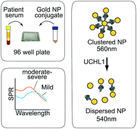 Graphical abstract: Early and rapid detection of UCHL1 in the serum of brain-trauma patients: a novel gold nanoparticle-based method for diagnosing the severity of brain injury