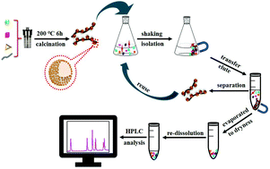 Graphical abstract: A magnetic cellulose-based carbon fiber hybrid as a dispersive solid-phase extraction material for the simultaneous detection of six bisphenol analogs from environmental samples