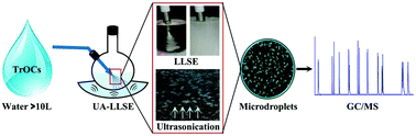 Graphical abstract: Ultrasound-assisted liquid–liquid spray extraction for the determination of multi-class trace organic compounds in high-volume water samples