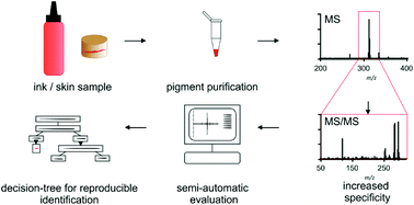 Graphical abstract: Matrix-assisted laser desorption/ionization tandem mass spectrometry for identification of organic tattoo pigments in inks and tissue samples